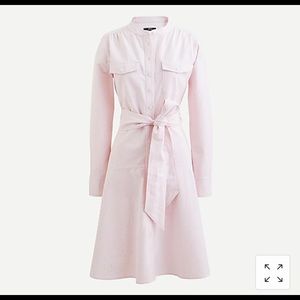 NWT JCrew Oxford Cotton A-line dress pink sz 6